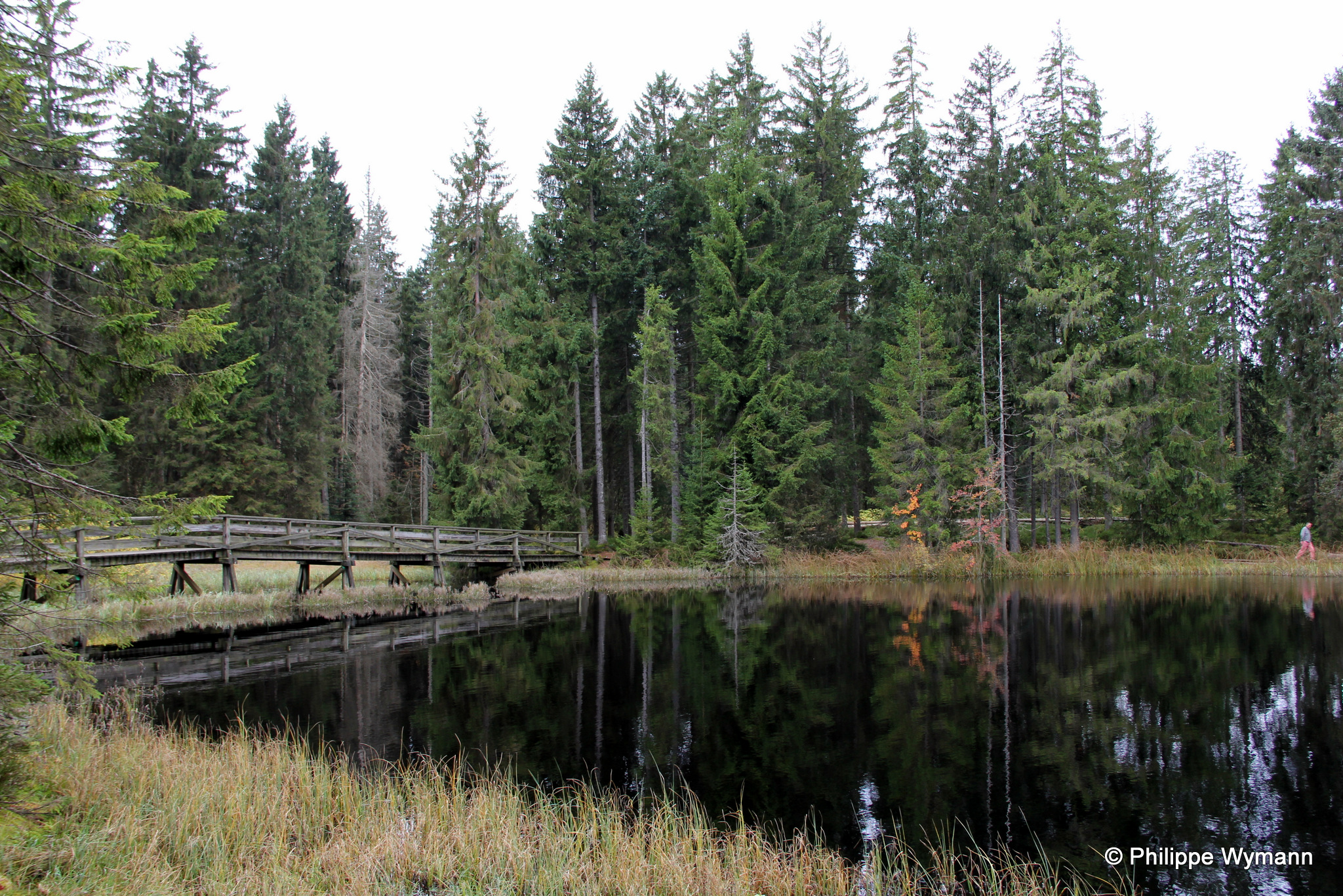 Etang de la Gruère, Saignelégier